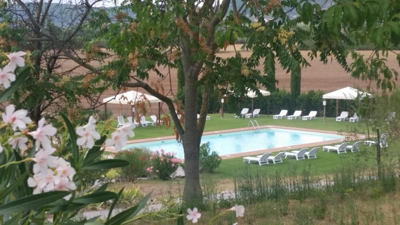 Casa Country House Girasole Vakantie Huis-Wakacje Huis Asciano Kültér fotó