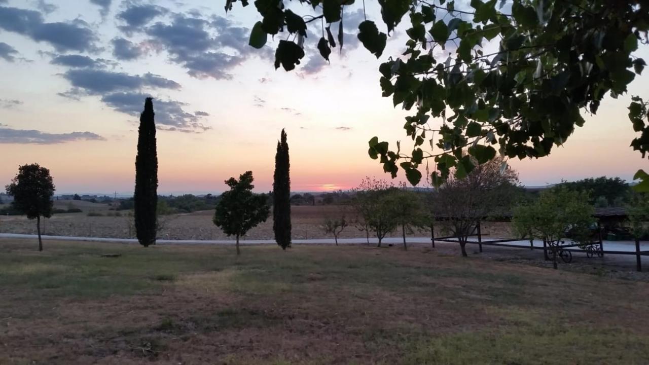 Casa Country House Girasole Vakantie Huis-Wakacje Huis Asciano Kültér fotó