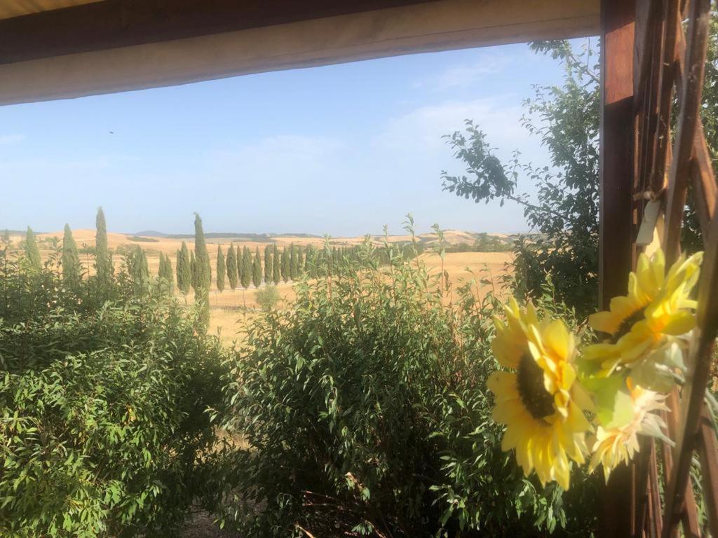 Casa Country House Girasole Vakantie Huis-Wakacje Huis Asciano Kültér fotó