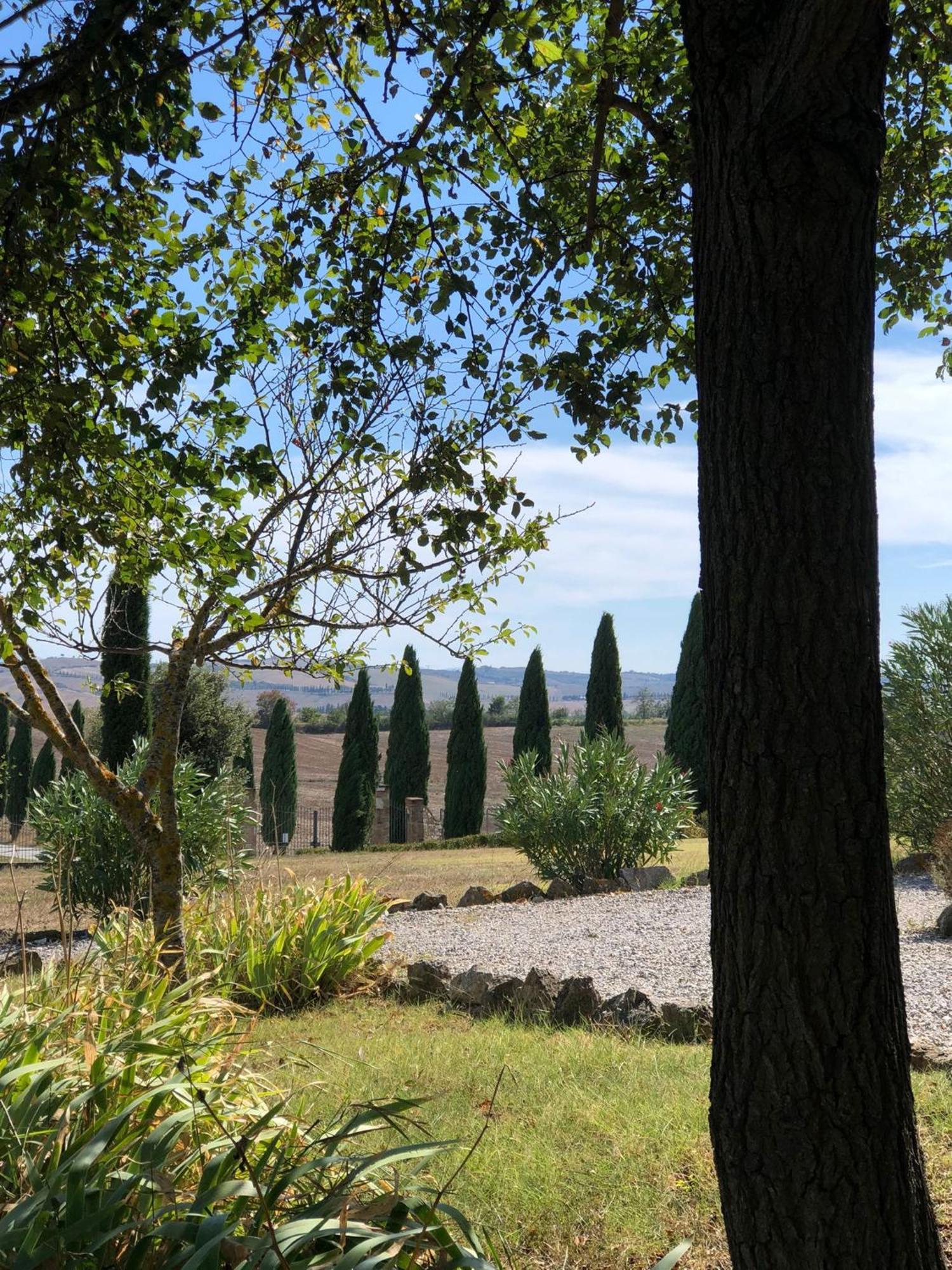 Casa Country House Girasole Vakantie Huis-Wakacje Huis Asciano Kültér fotó